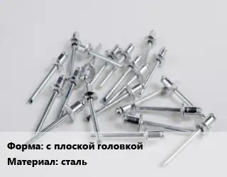 Заклепка с плоской головкой сталь